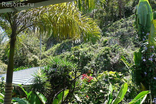 Doctors Cave Beach Hotel 12